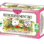 Tisane Refroidissement Bio - 20 sachets - Romon nature BIO