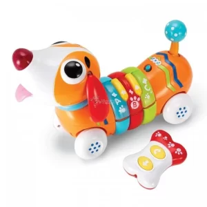 Winfun chien sonore et coloré +12 mois